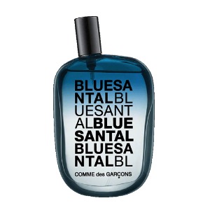 꼼데가르송 Blue Santal 블루 상탈 오드퍼퓸 100ml(관부가세 포함)